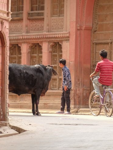 préparer voyage inde