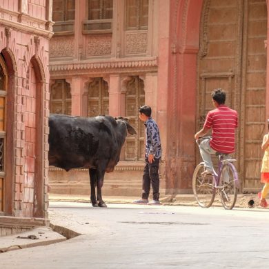 préparer voyage inde