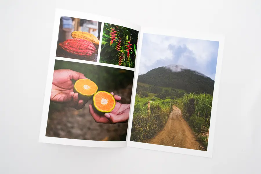 Exemple de mise en page album photo